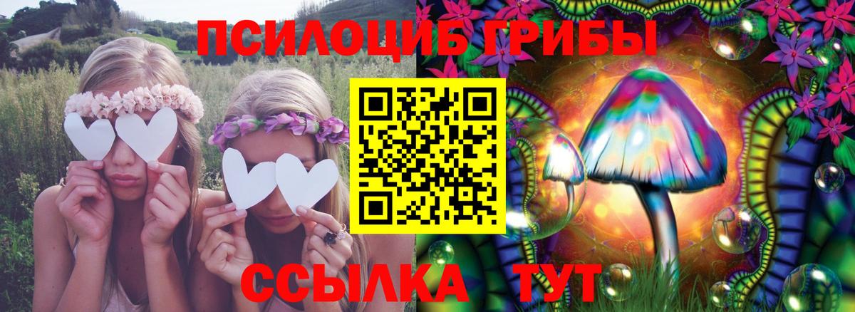 Кудрово  Галлюциногенные грибы Cubensis  цена наркотик  Вход с VPN 